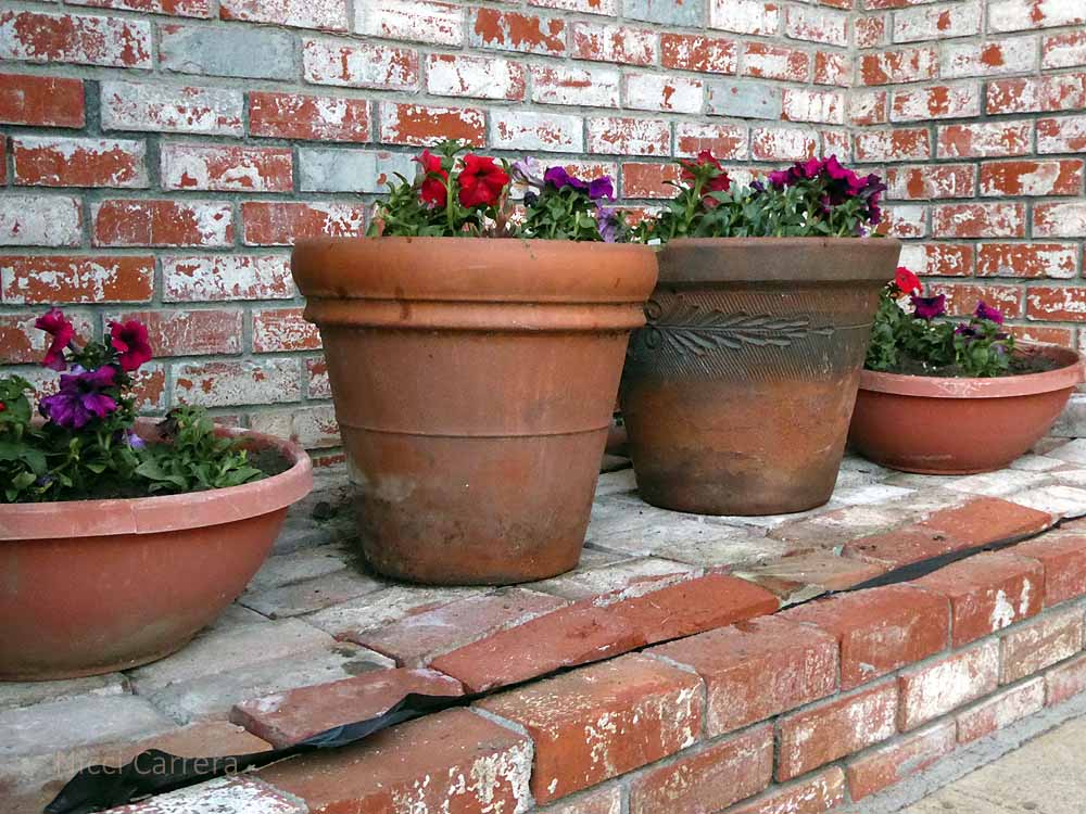 Flower-pots-3