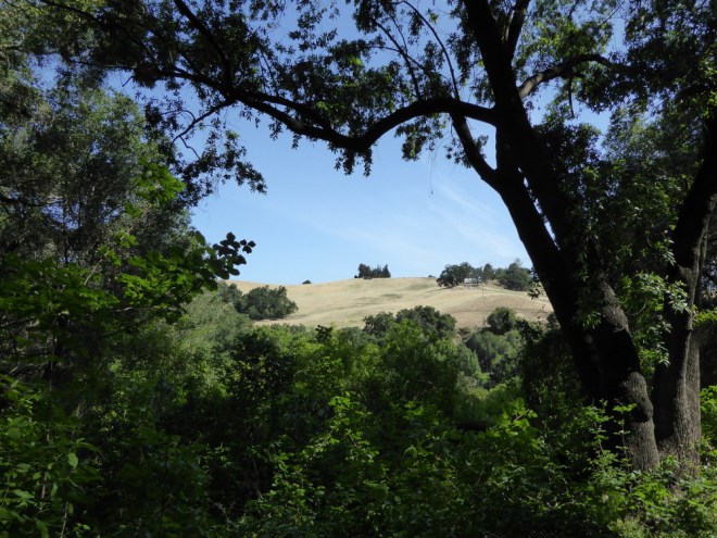 Rancho-San-Antonio-farm-house-far
