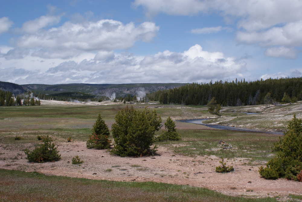 Upper Geyser area