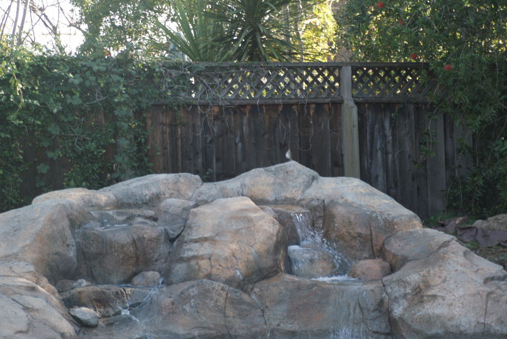 Waterfall during flush years