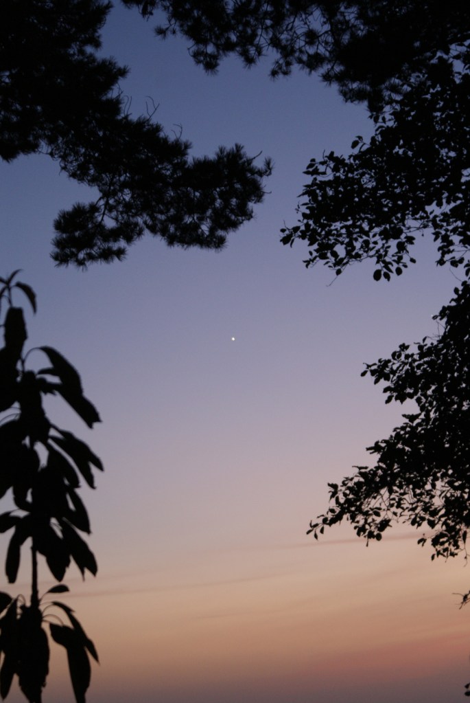 Twilight in Trinidad 