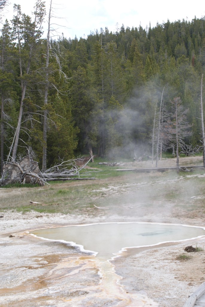 Upper Geyser Basin, Yellowstone