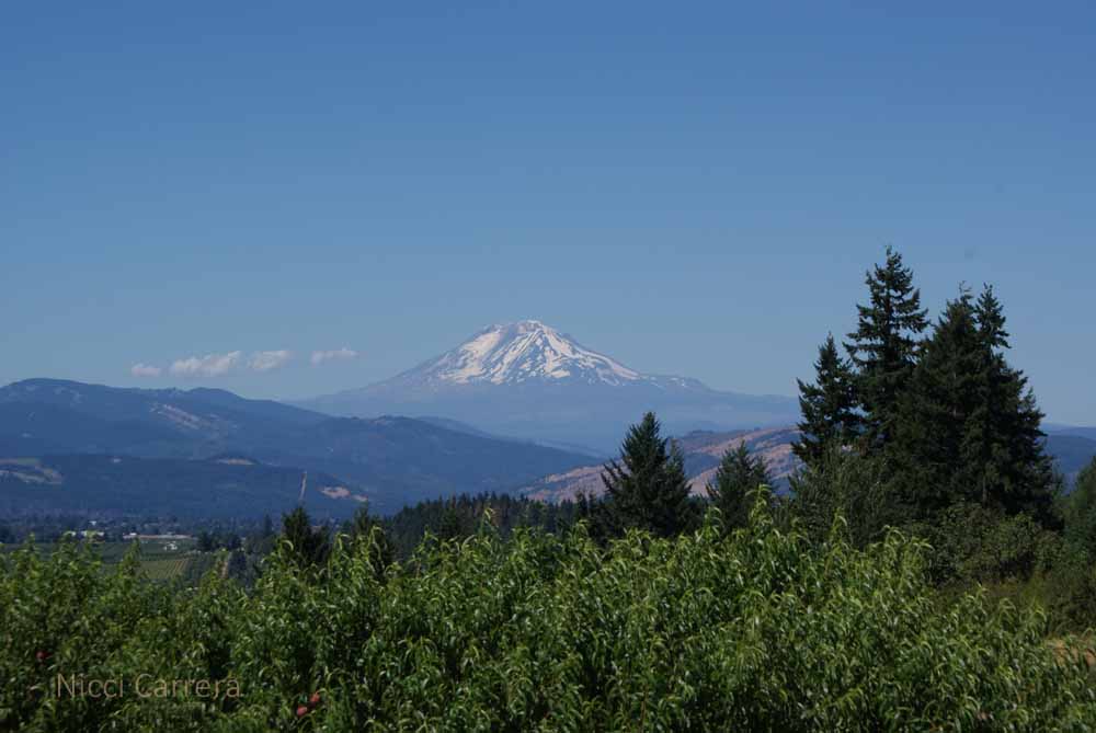 Mount Adams
