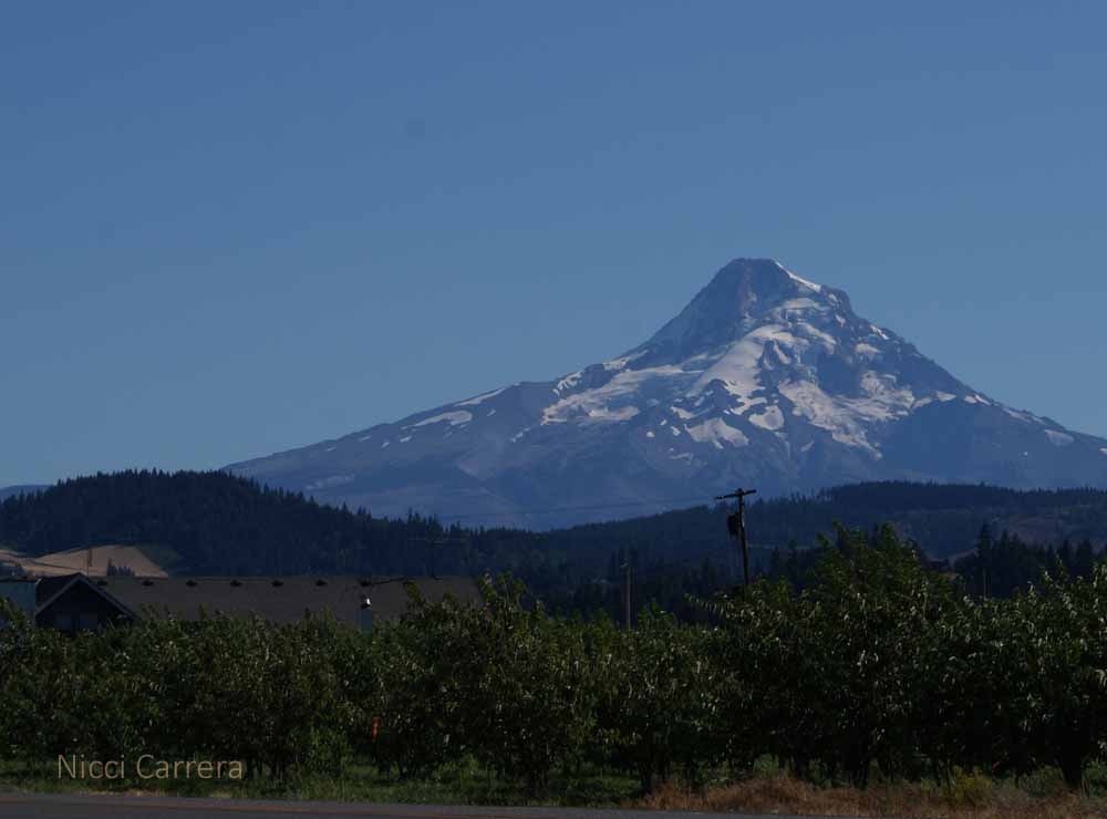 Mount Hood