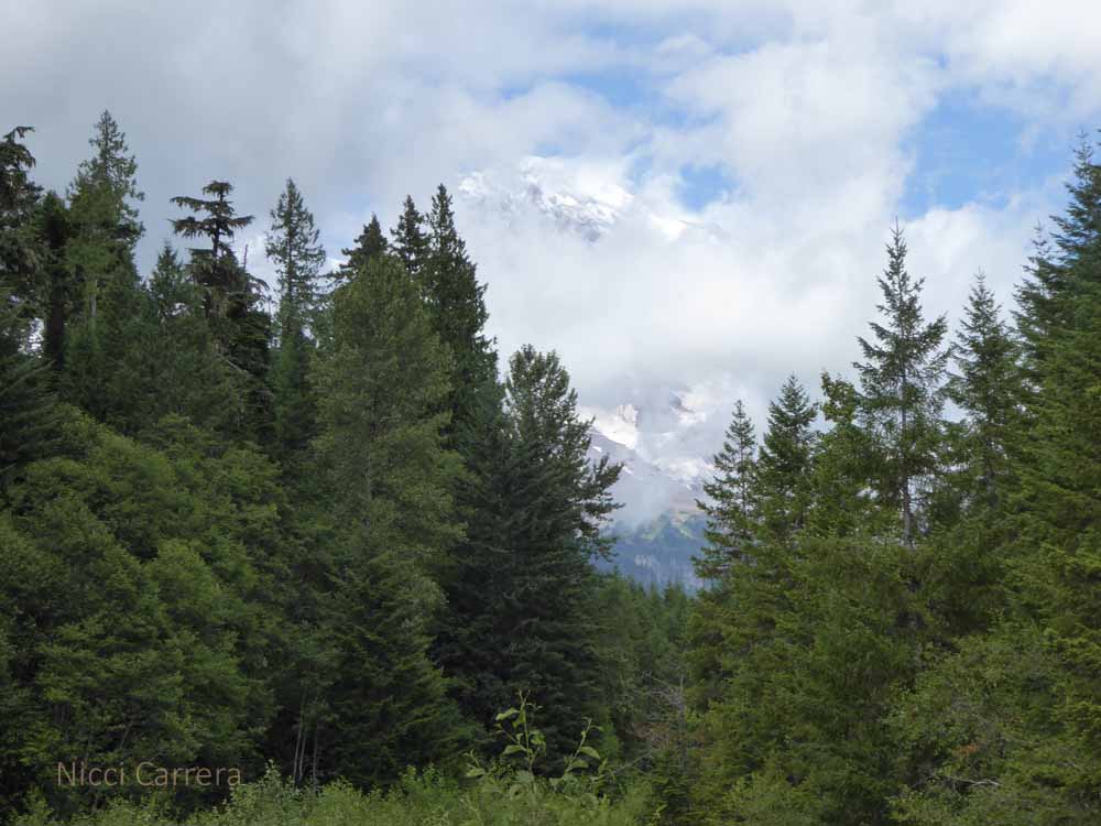 Mount-Rainier1
