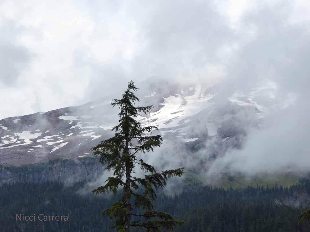 Mount-Rainier4