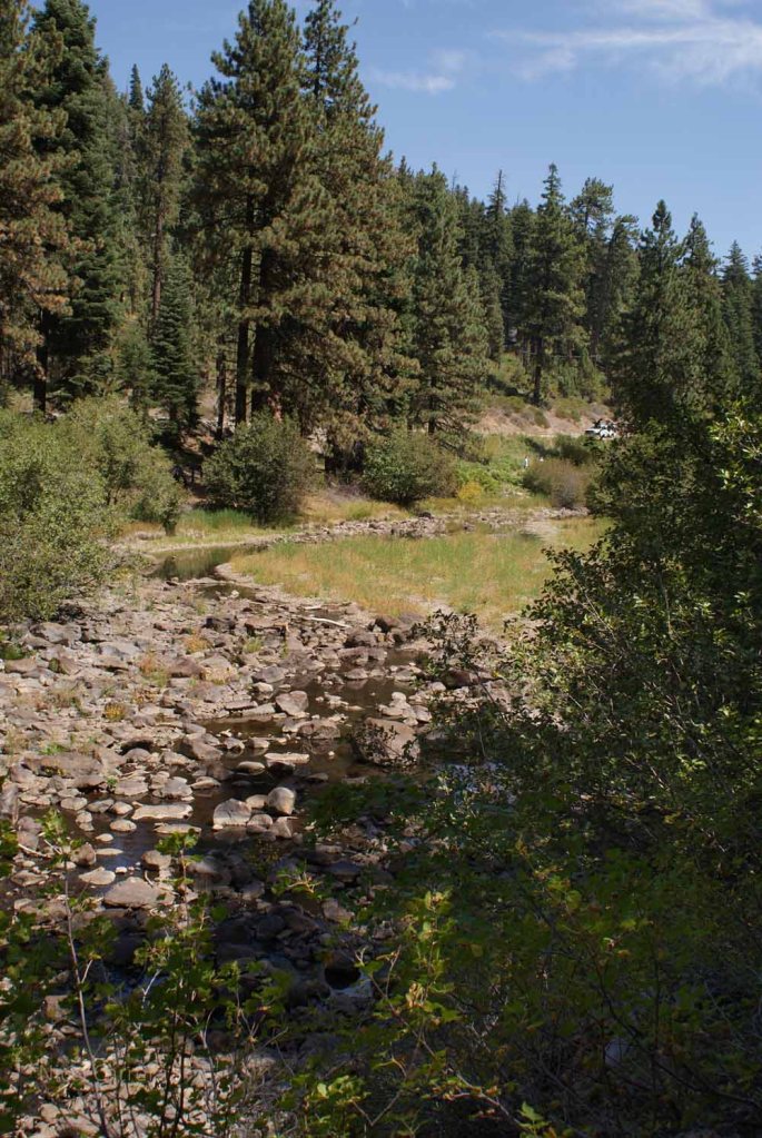 The Truckee River Bed