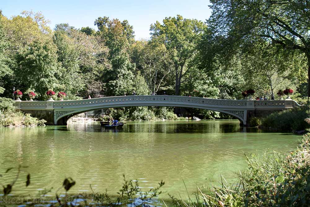 The Bow Bridge, Central Park
