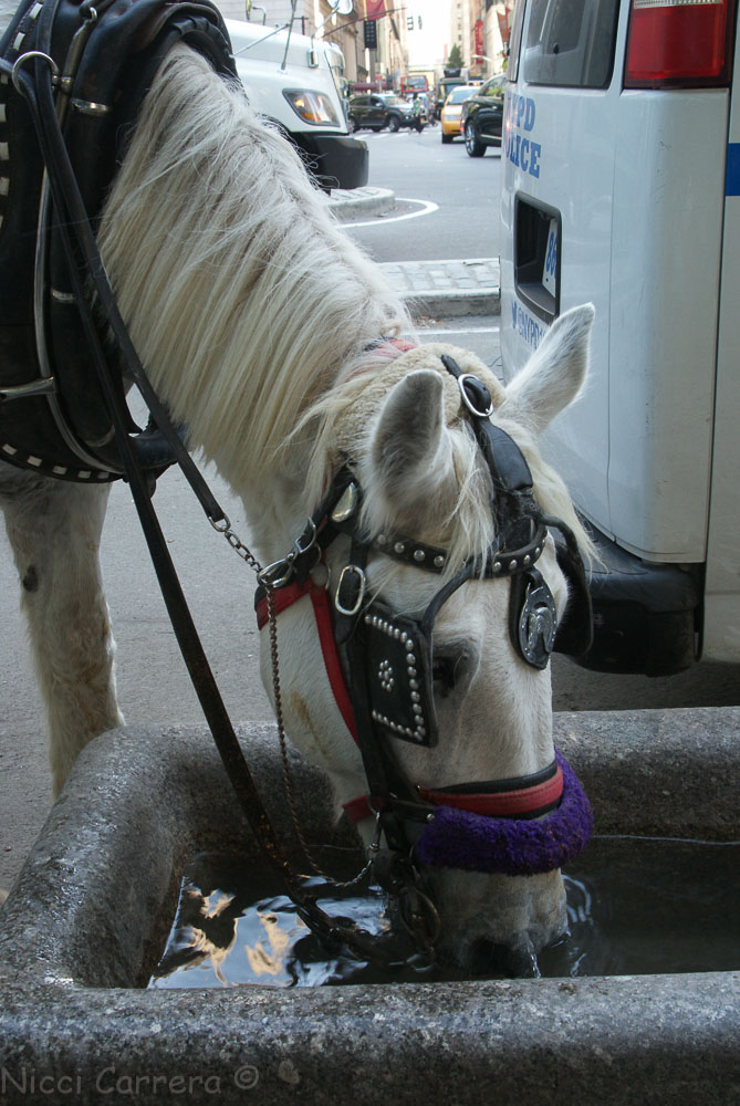 Having some refreshments 