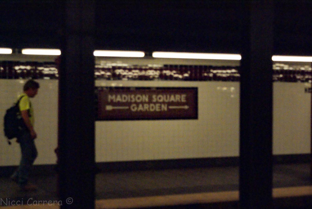 New York City fall day (17 of 17)