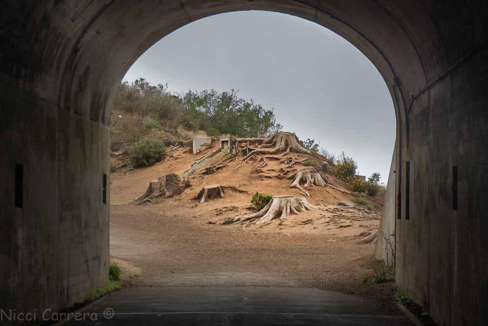 Military tunnel in the Marin Headlands