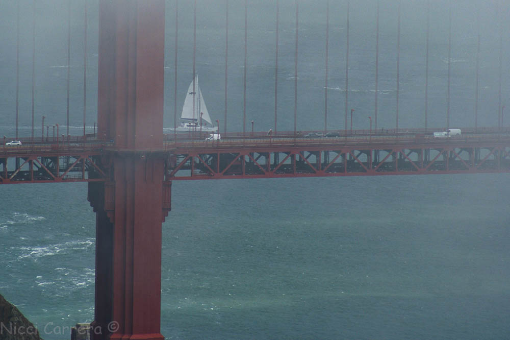 Sailing over the bridge to work
