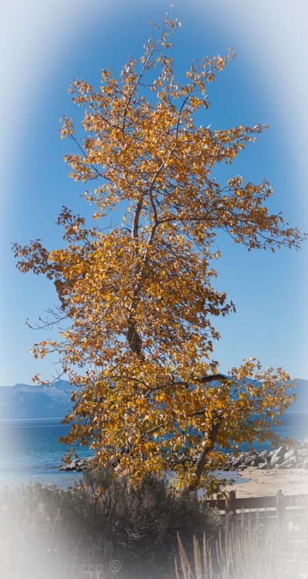 Sand Harbor Lake Tahoe