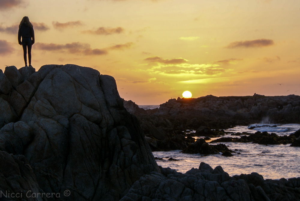 Person watching the sunset in Monterey California