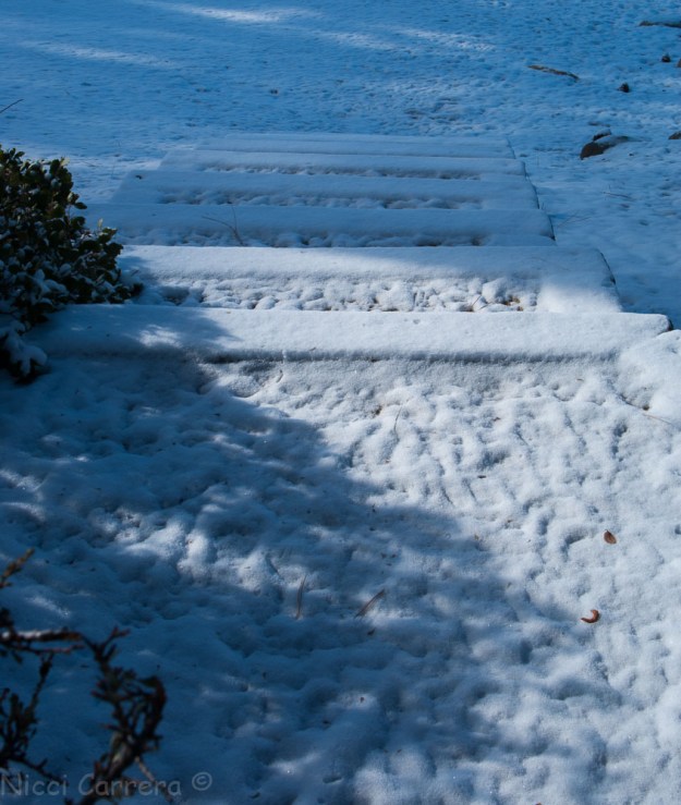 Staircase at Sand Harbor Lake Tahoe