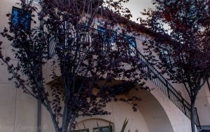 Saratoga fire station