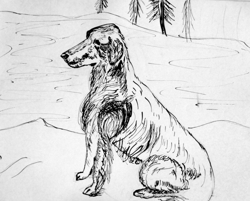 wet-dog_8554561215_o