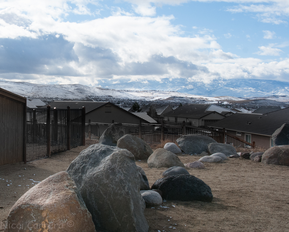 For Mondays post (1 of 1)