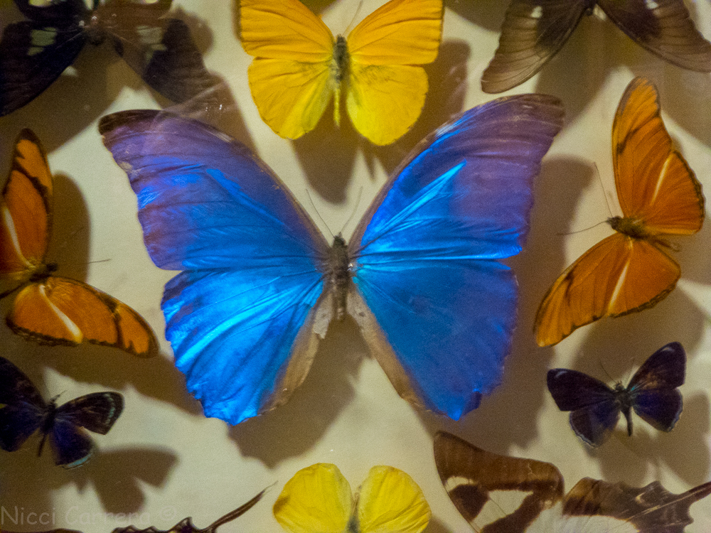 For Mondays post (2 of 1)