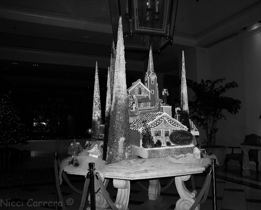 The Fairmont monochrome-1