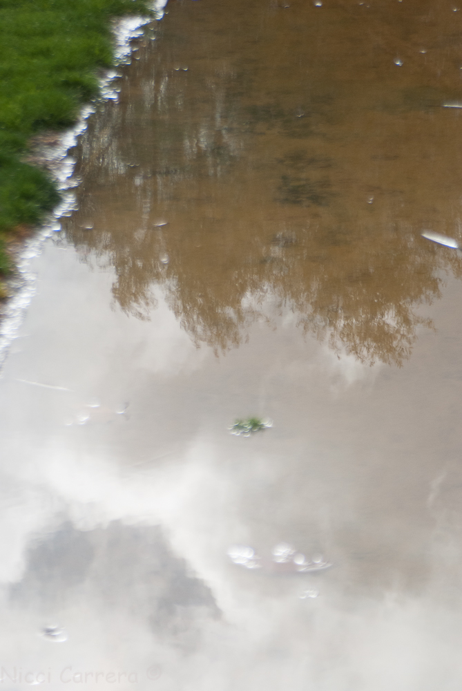 Rain in California-1