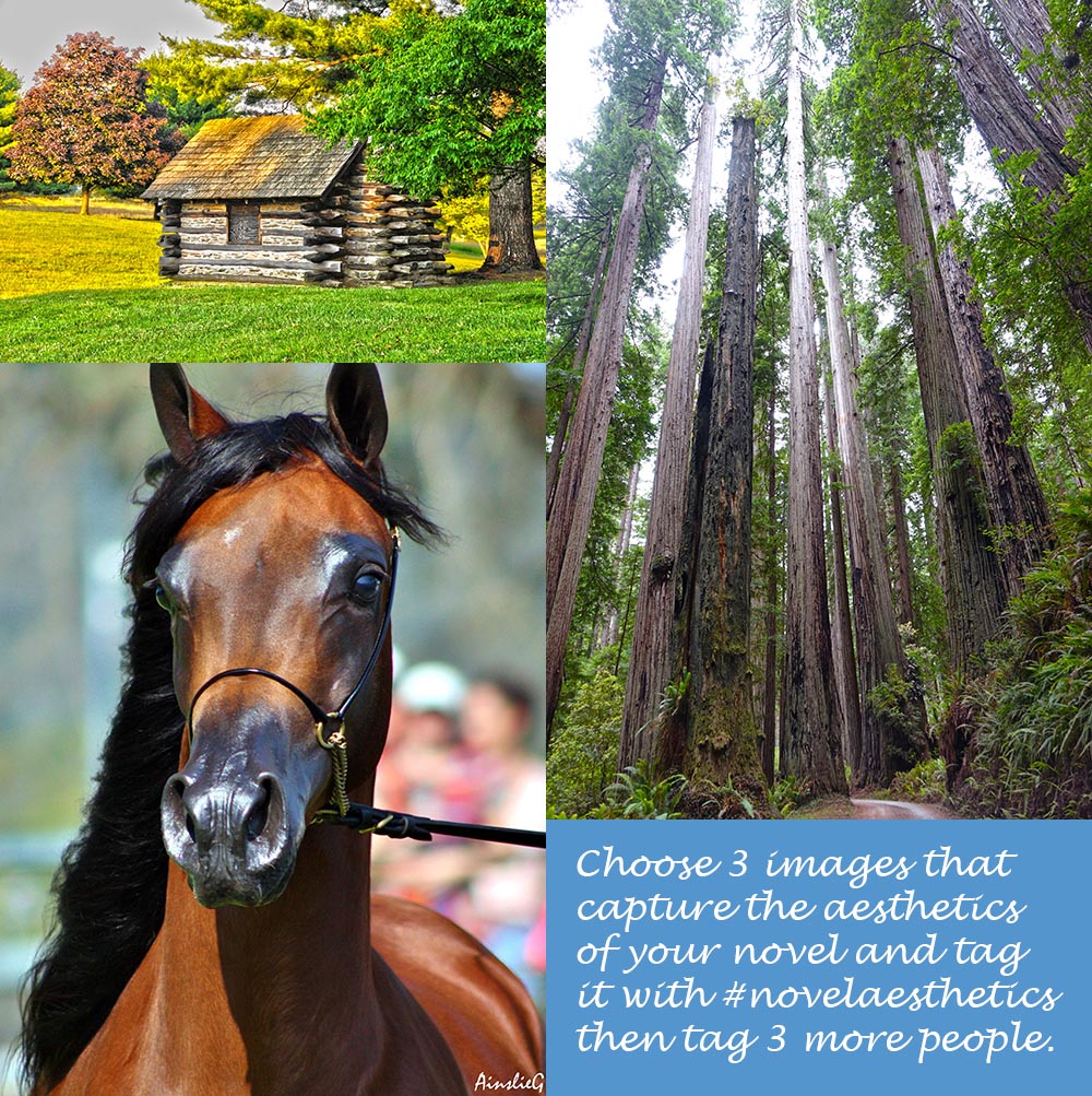 Aesthetics of my novel