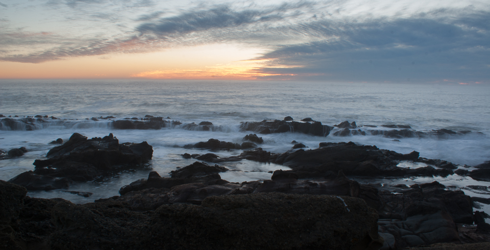 Bean Hollow favorites-2