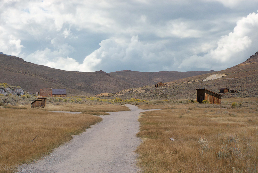 Bodie-4