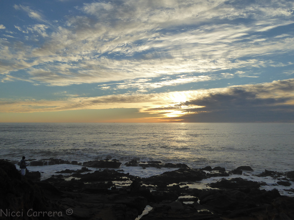 Bean Hollow sunset-1