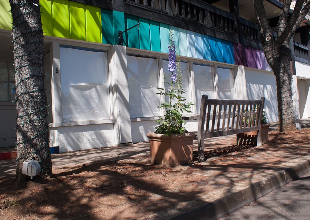 A Day in Los Altos-17