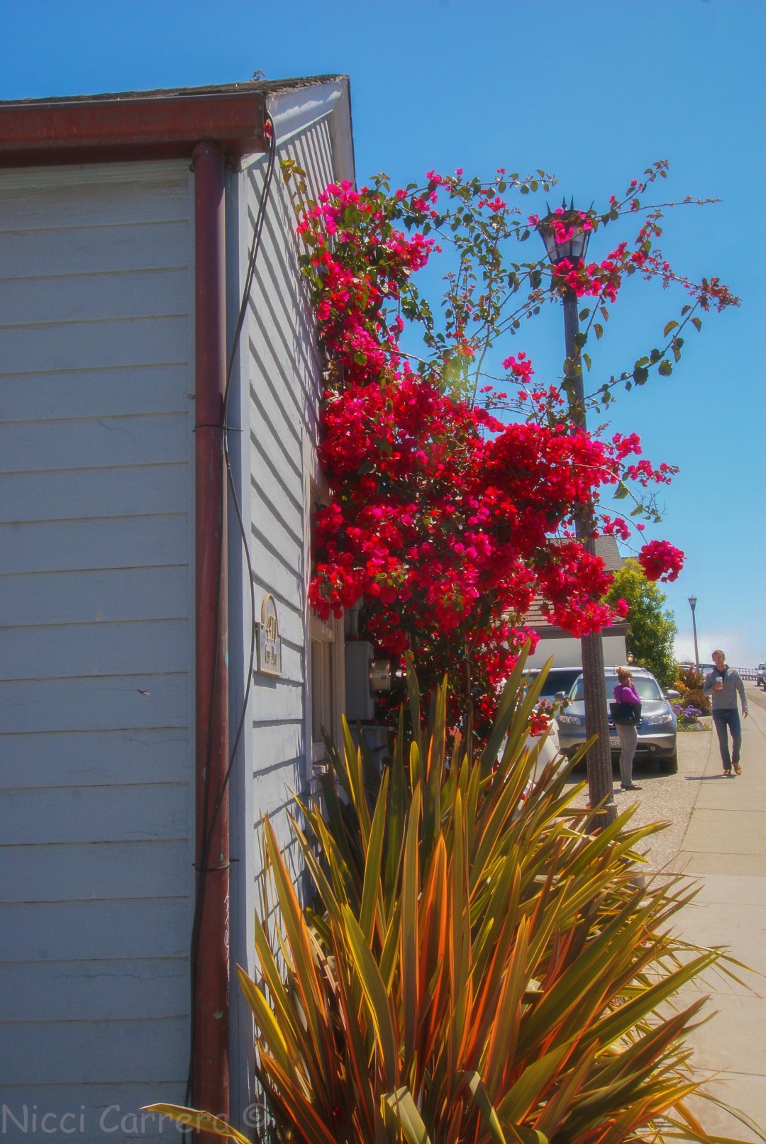 Corner of Capitola