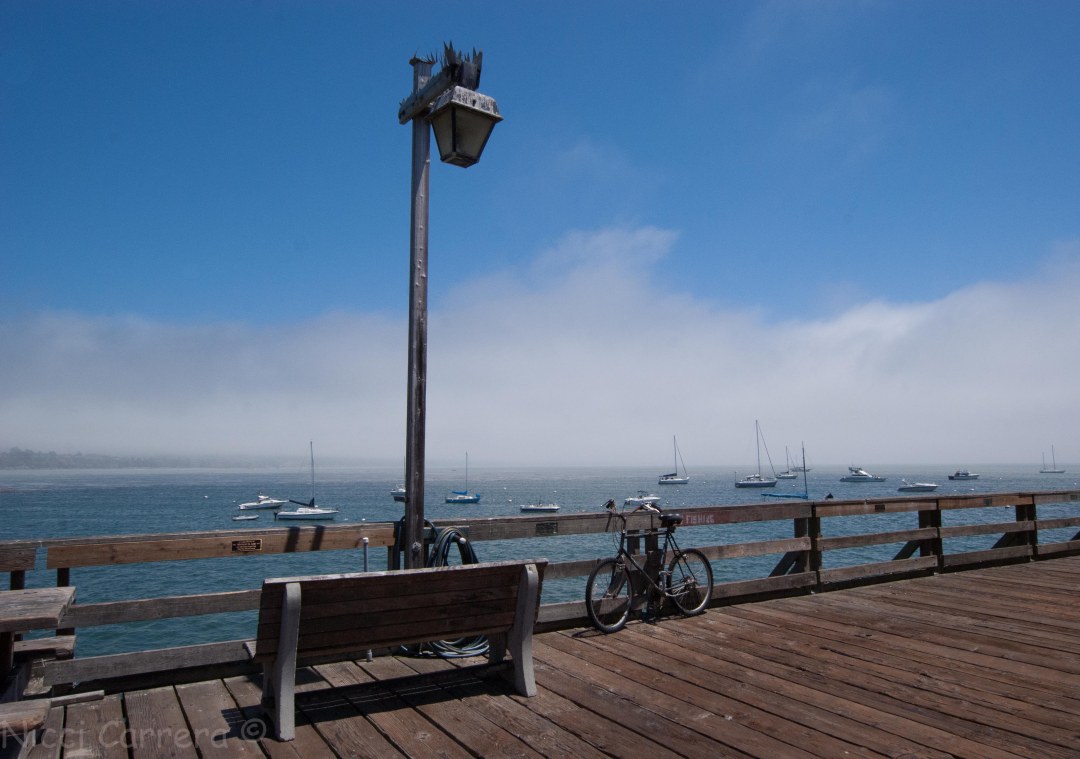 Life on the Capitola pier