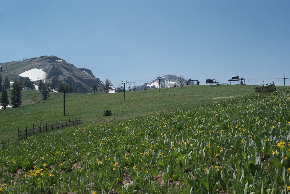 Squaw Valley July 2016-22