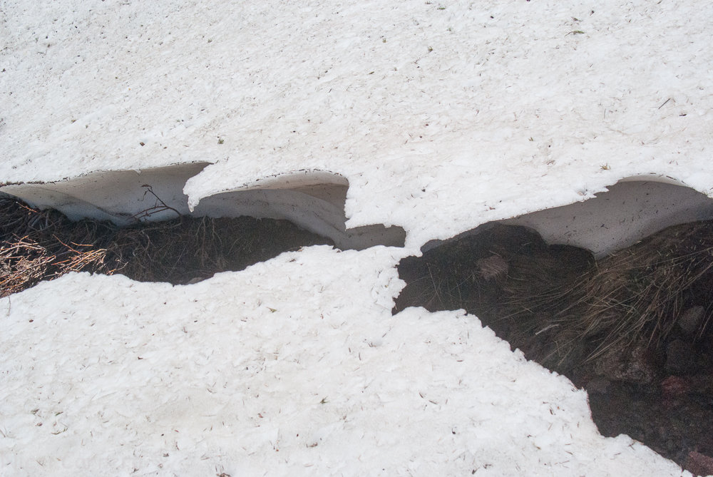 Squaw Valley July 2016-6