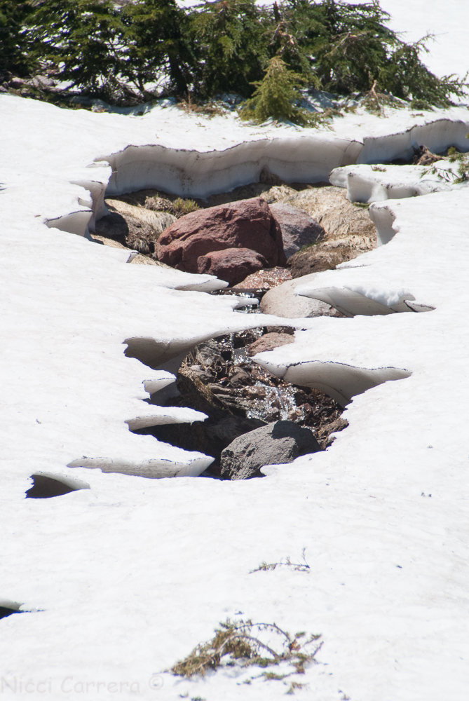 Squaw Valley July 2016-7