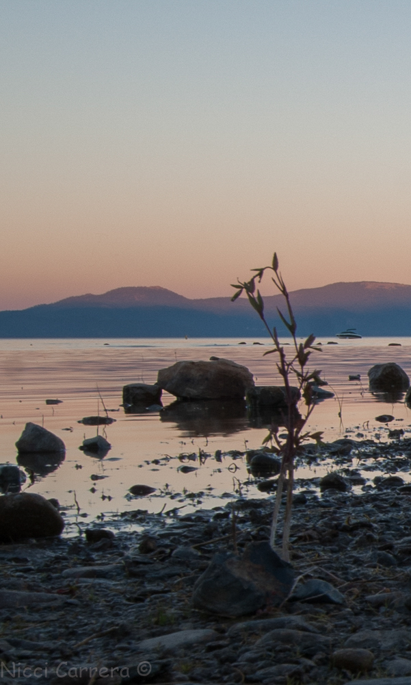 Tahoe sunset-2