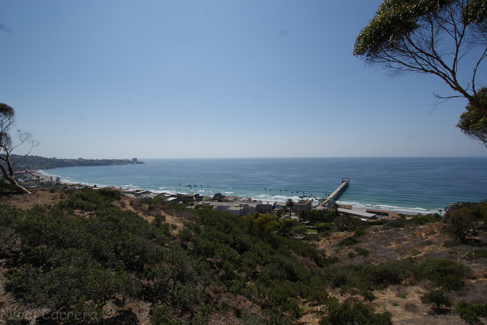Birch Aquarium outdoors-2