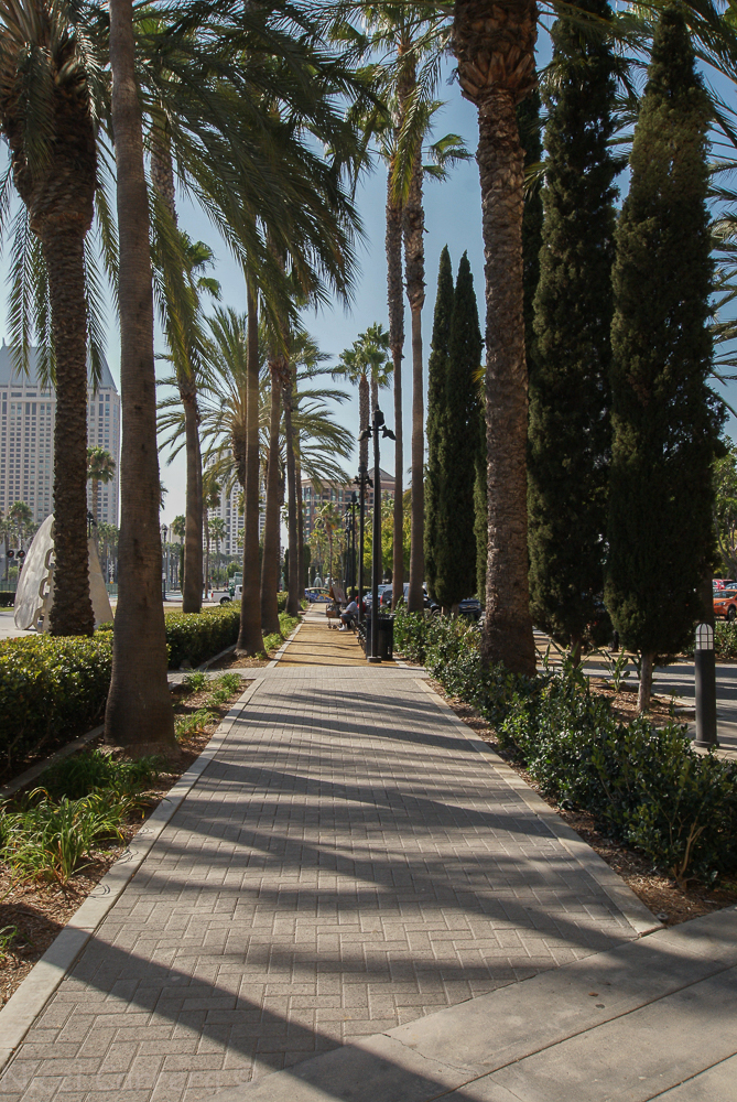 Downtown San Diego-10