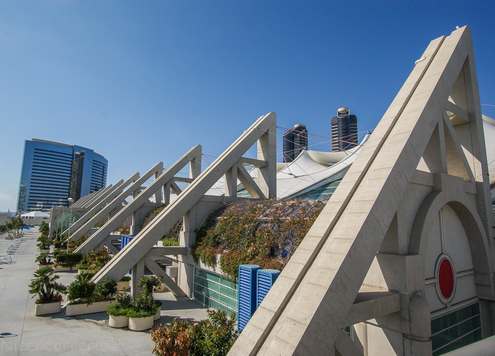 Downtown San Diego-7