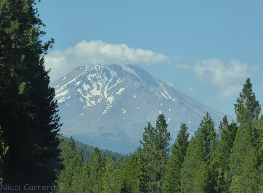 mt-shasta-2