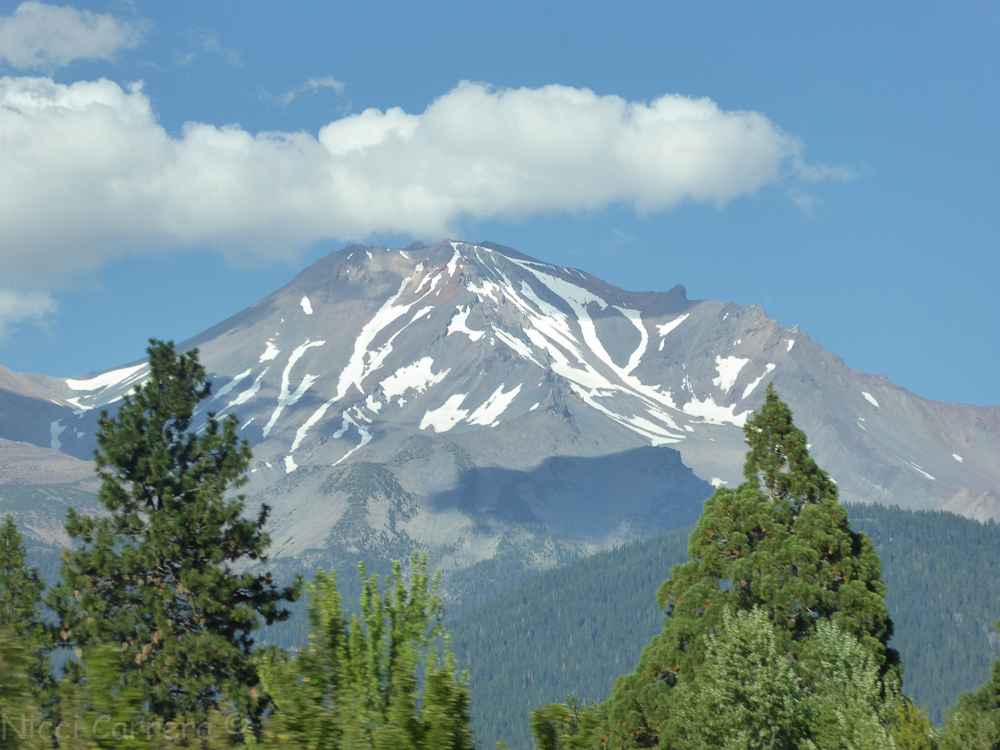 mt-shasta-3