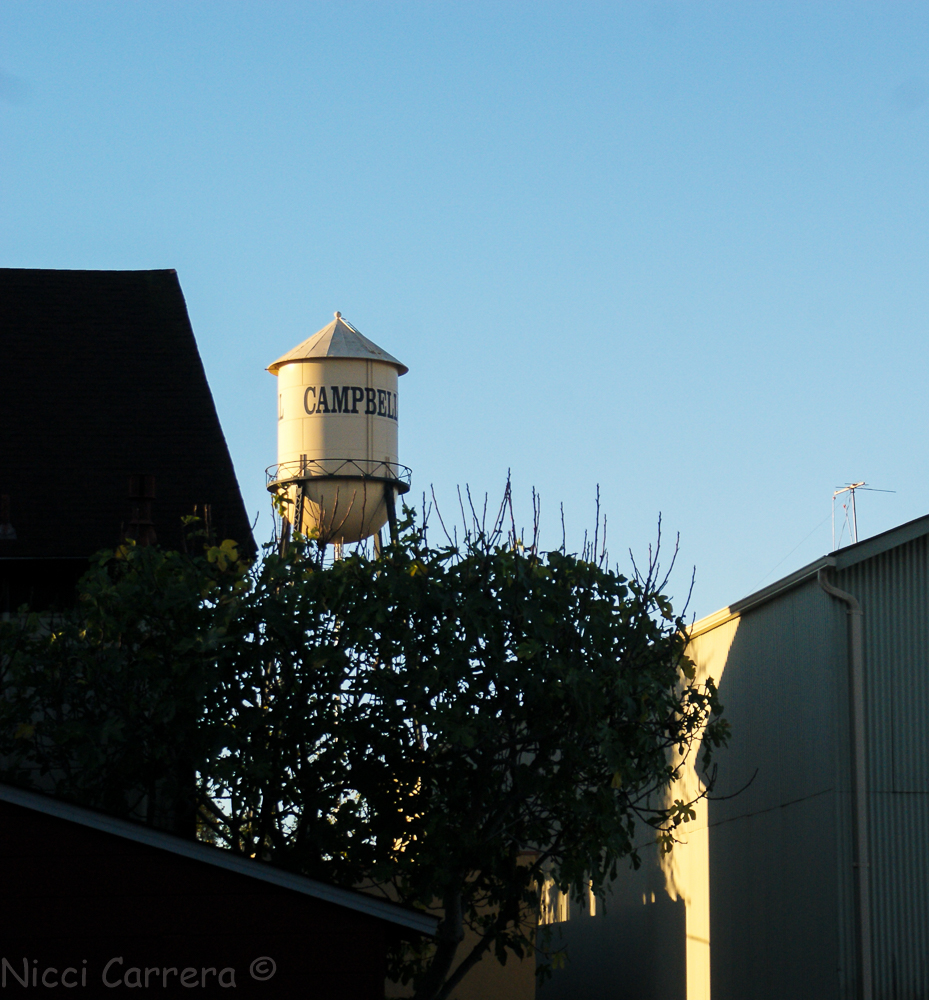 good-morning-campbell-october-2016-2