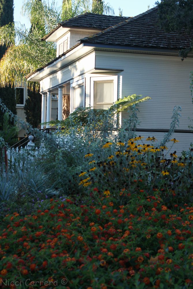 good-morning-campbell-october-2016-3