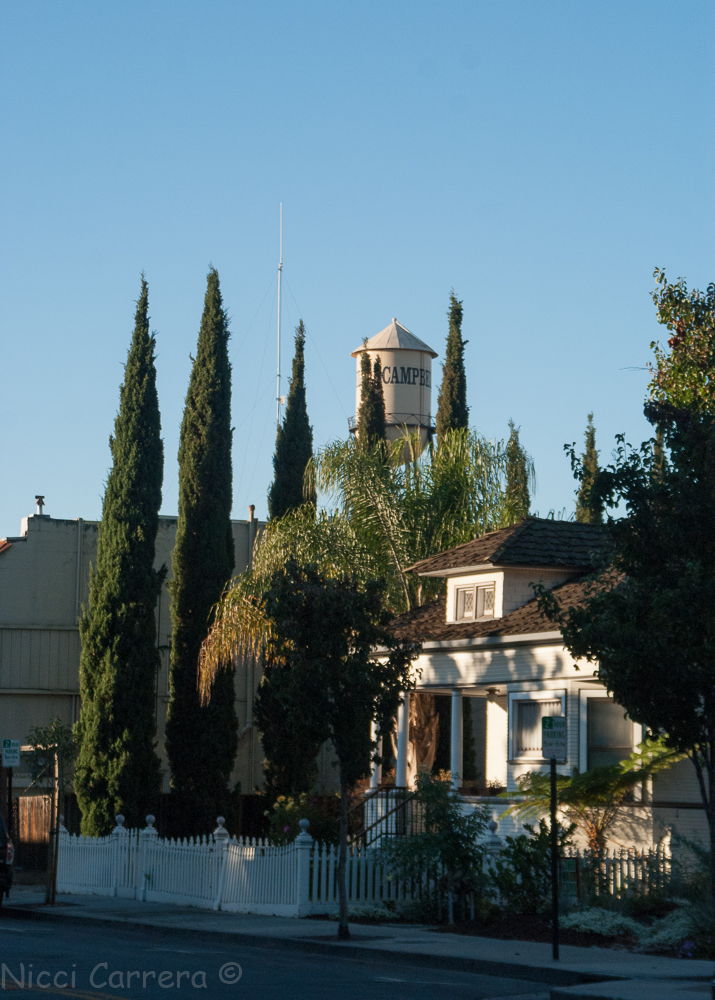 good-morning-campbell-october-2016-4