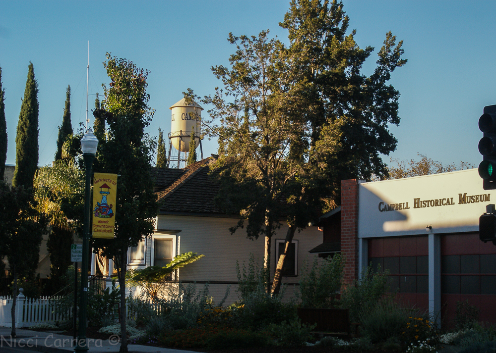 good-morning-campbell-october-2016-5-2