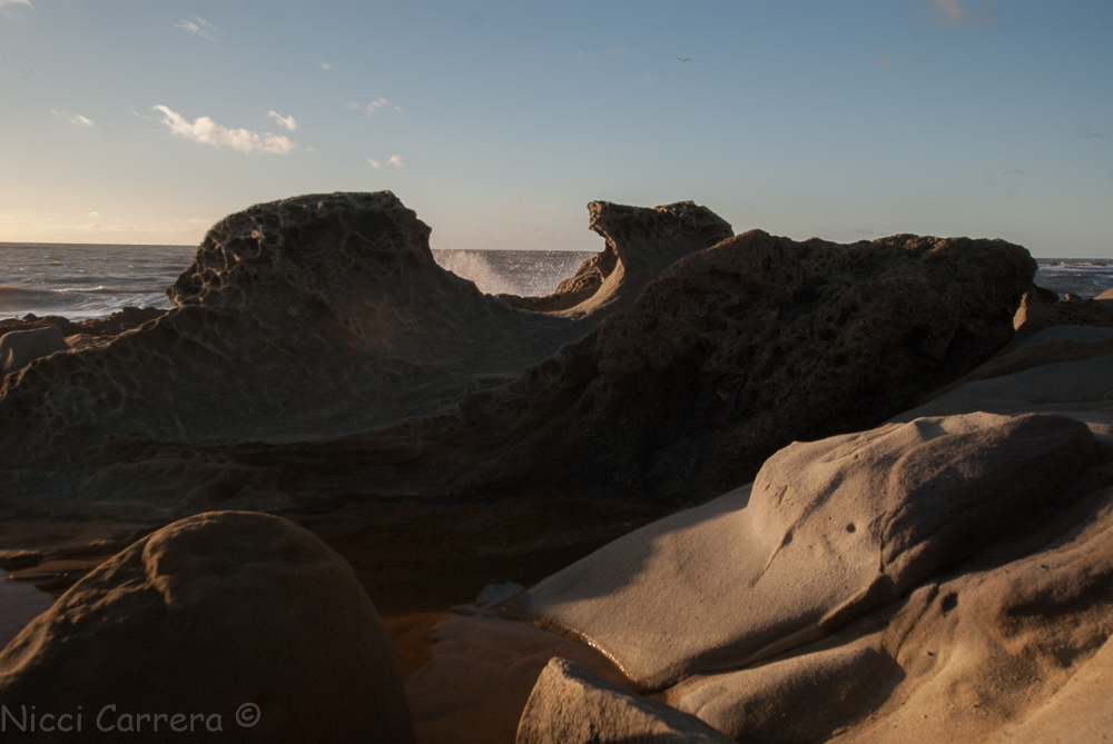 bean-hollow-december-1