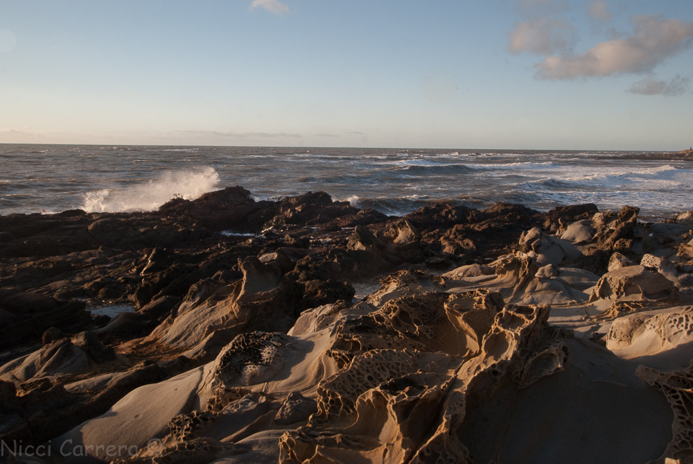 bean-hollow-december-3