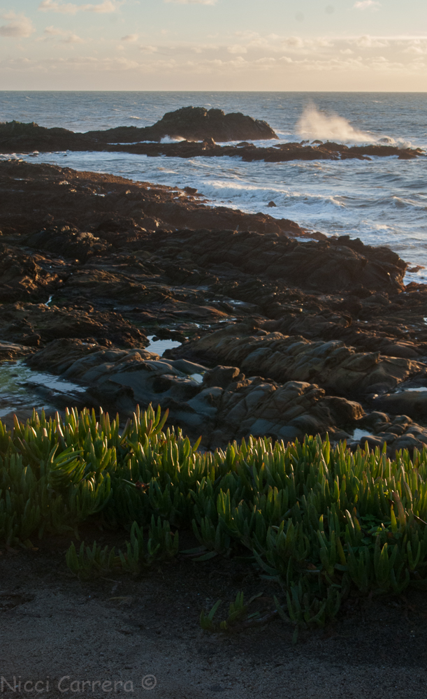 bean-hollow-december-5