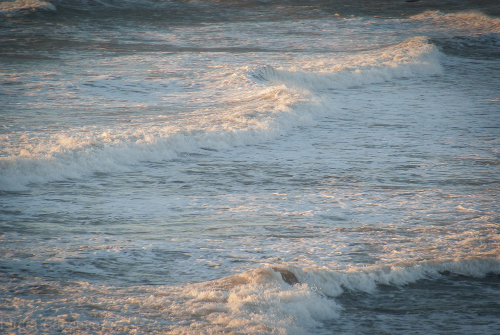 bean-hollow-december-7