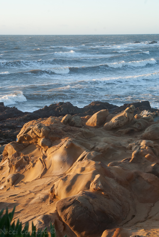 bean-hollow-december-8